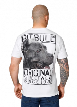 Pit Bull T-Shirt Origin